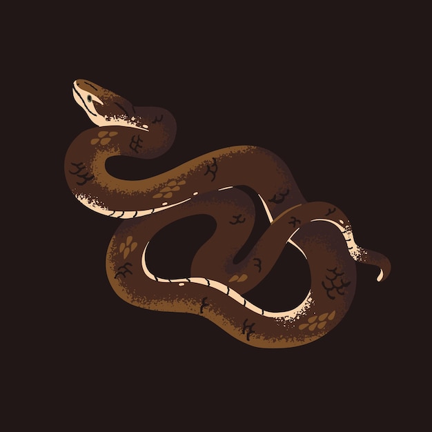 Common or Indian taipan in attack posture Brown venomous australian snake Exotic poisonous serpent Protected by law cold blooded animal Dangerous jungle fauna Flat isolated vector illustration