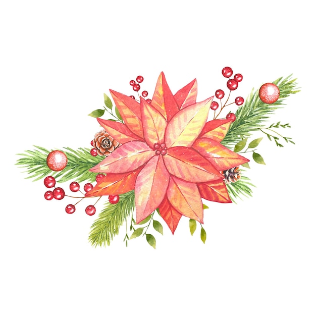 Composition of poinsettia spruce branches berries Watercolor