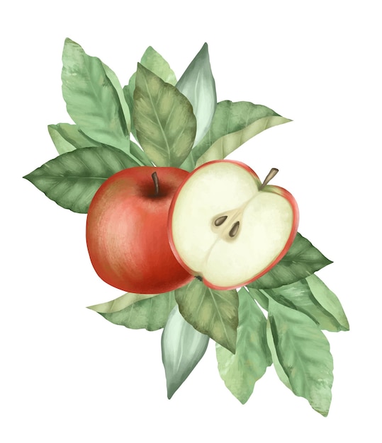 Composition of ripe red apples and apple tree leaves