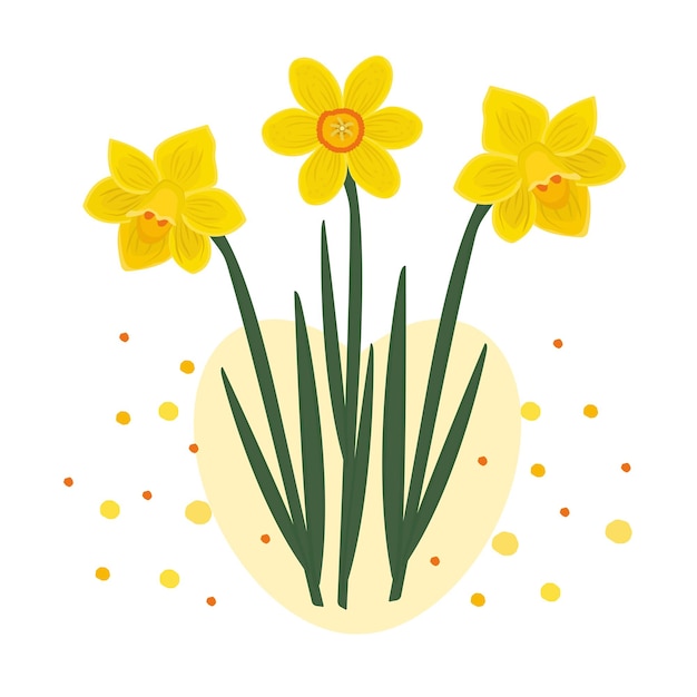 Composition of three daffodils colorful illustration