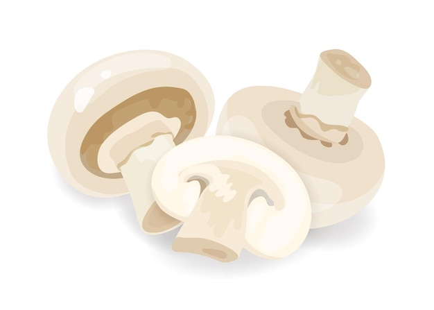 Vector composition of whole and sliced champignon isolated on white background. edible raw mushrooms, natural cooking ingredient. flat vector cartoon illustration of agaricus bisporus.