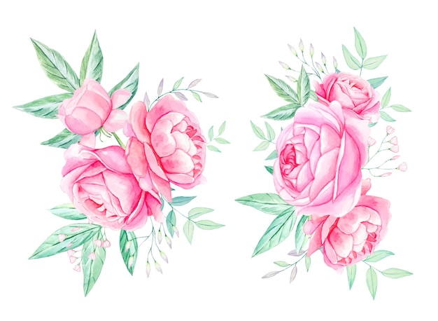 Vector compositions of pink peonies and leaves in watercolor