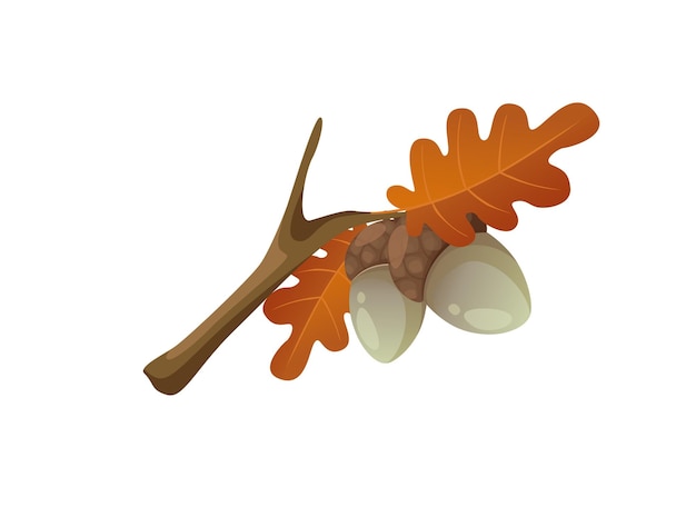 Concept Hello autumn with oak tree leaf branch This illustration is a flat vector design