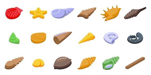 Conch icons set isometric vector Beach shell