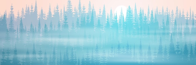 Coniferous forest in the morning fog orient sun vector landscape panoramic