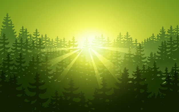 Vector coniferous forest silhouette sunrise scene landscape