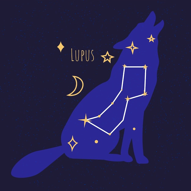 Constellations of lupus star formation of wolf