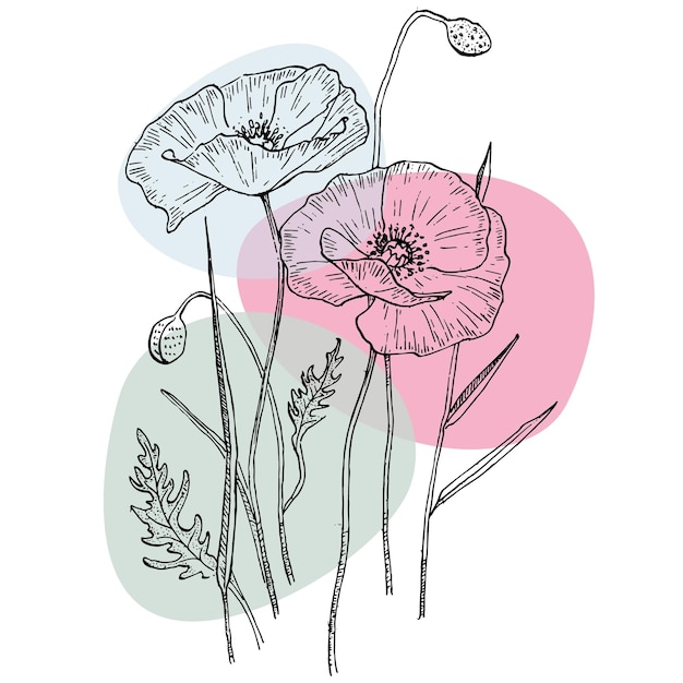 Contemporary art poppies posters in trendy colors. Abstract hand drawing flowers and geometric eleme