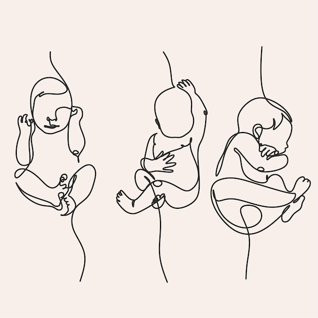 Continuous line drawing Baby in womb on the white background Vector illustration