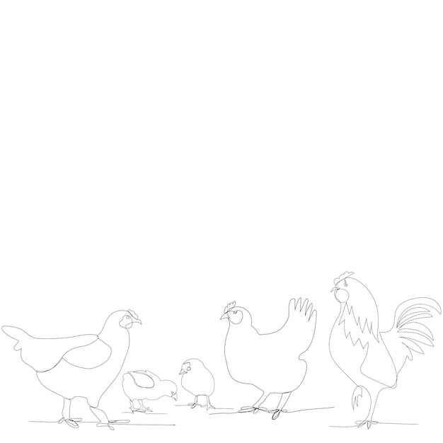 Continuous line drawing of chickens and chicken rooster