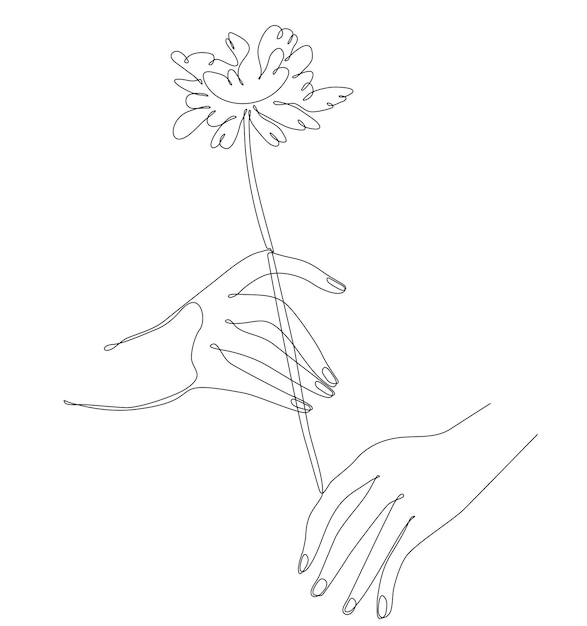 continuous line drawing hand holding flower