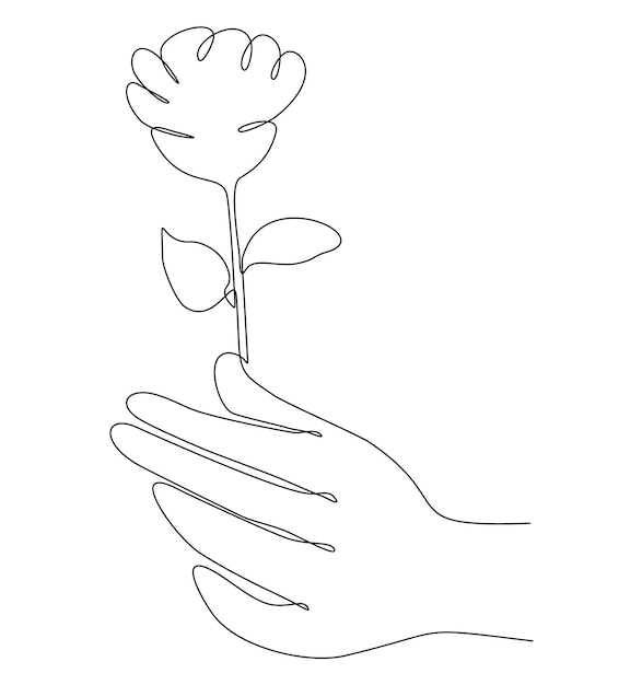 continuous line drawing hand holding flower