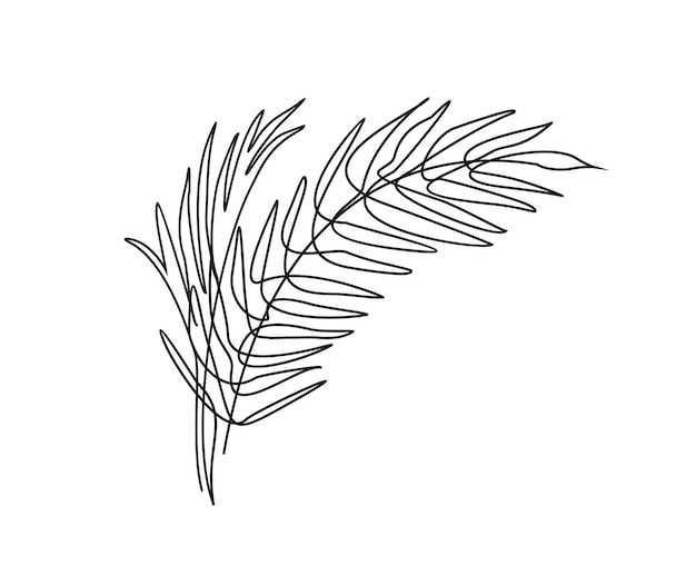 Continuous line drawing of palm leaves Minimalist line art vector design Modern decor