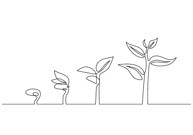 Continuous line drawing plant growing