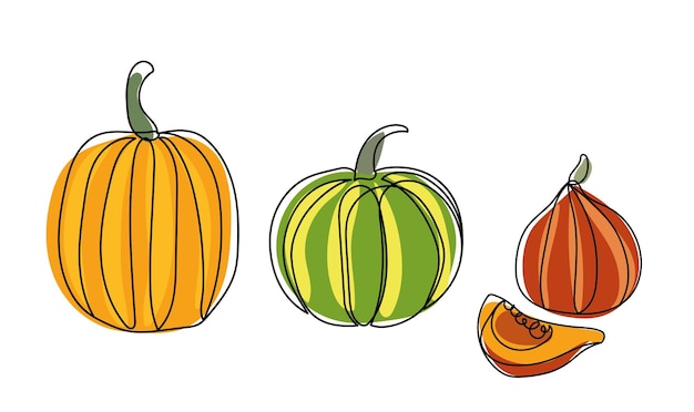 Continuous line drawing pumpkins. Striped pumpkins set. Autumn pumpkin line art set.