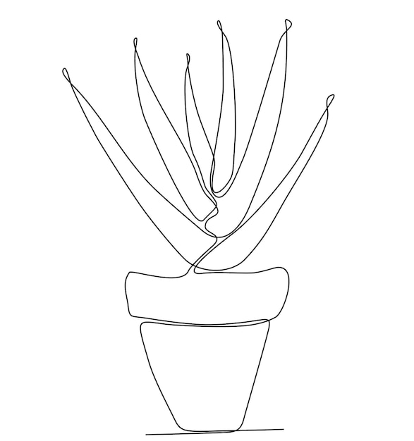 continuous line drawing of a sapling in a leaf pot vector illustration