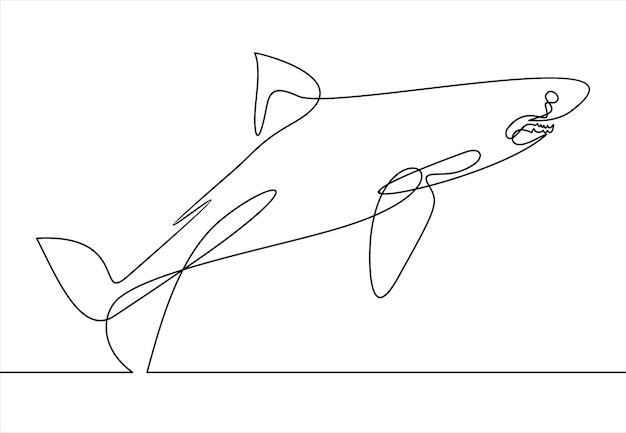 continuous line drawing of sea shark vector illustration