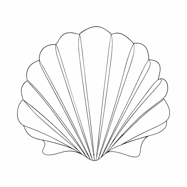 Continuous line drawing seashell sketch 31