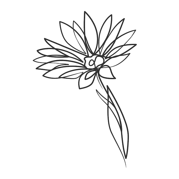 Continuous line drawing of simple flower illustration Abstract flower in one line art drawing