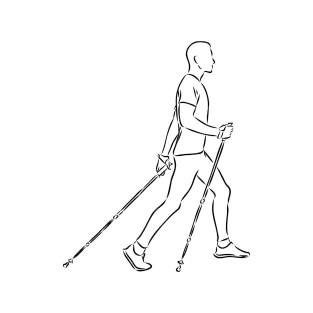 Continuous line drawing A young woman walks on foot with walking sticks Nordic walking vector sketch illustration