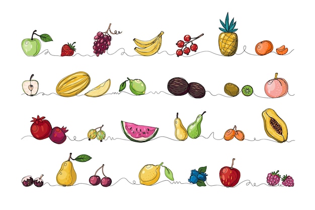 Continuous line fruits Tropical food Monoline sketch border of exotic natural products set Pineapple and papaya Sweet pomegranate or grape Juicy watermelon Vector summer berries