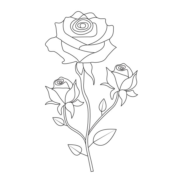 Continuous one line art drawing of rose flower vector illustration