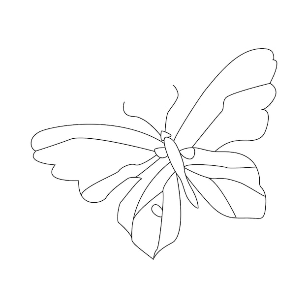 Continuous one line butterfly flying single line outline art drawing illustration