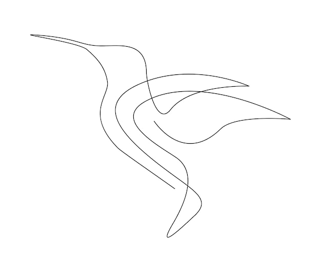 Continuous one line drawing of collibri Humming bird Abstract flying bird outline vector illustration