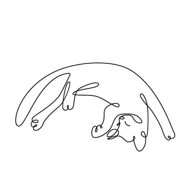 Continuous one line drawing of funny cat is resting on its back The cat lay down Single line art