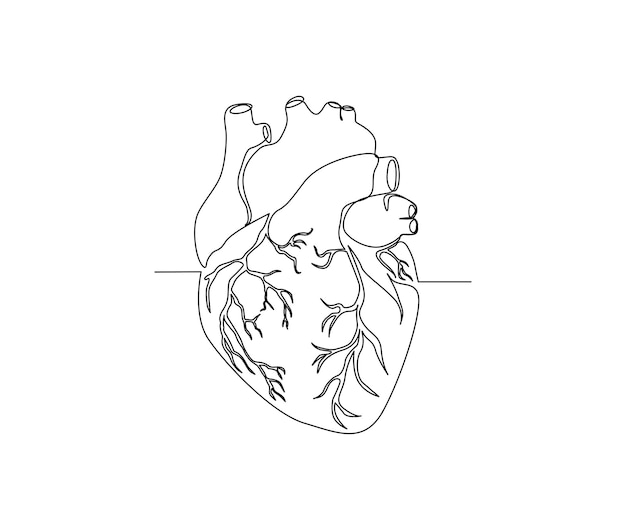 Continuous one line drawing of Human Heart Heart line art drawing vector illustration Healthy medicine art concept