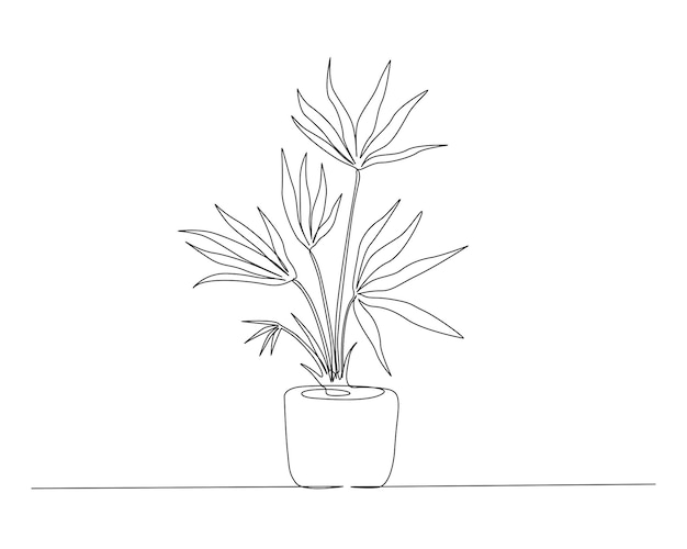 Continuous one line drawing of indoor palm plant