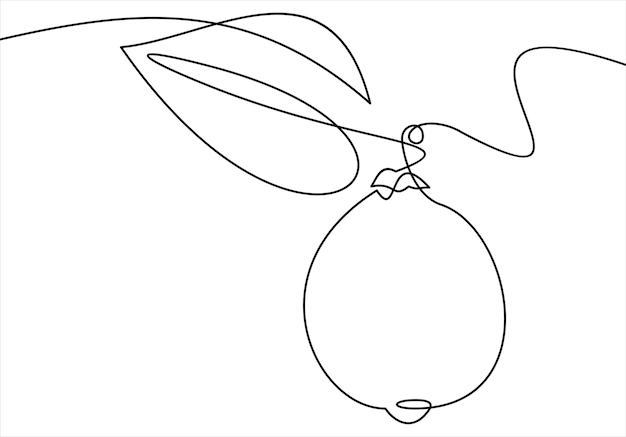 Continuous one line drawing Lemon lime fruits Vector illustration