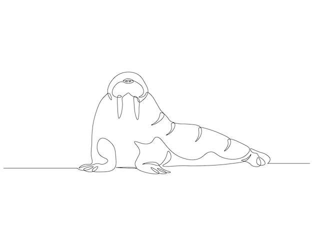 Continuous one line drawing of ocean walrus One line drawing illustration of ocean seal Marine mammal animal concept continuous line art Editable outline