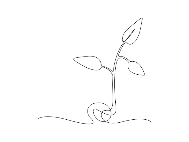 Continuous one line drawing of Plant growth processing from seed illustration pro vector