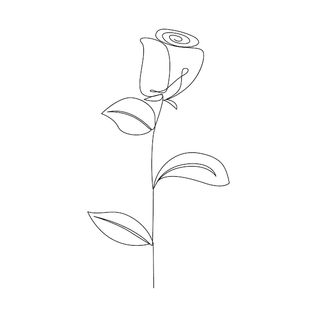 Vector continuous one line drawing rose flower outline vector art illustration