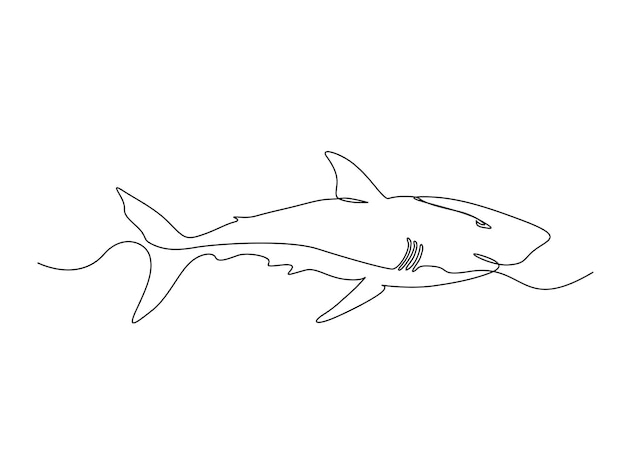 Continuous one line drawing of shark fish. Simple illustration of saltwater fish line art vector