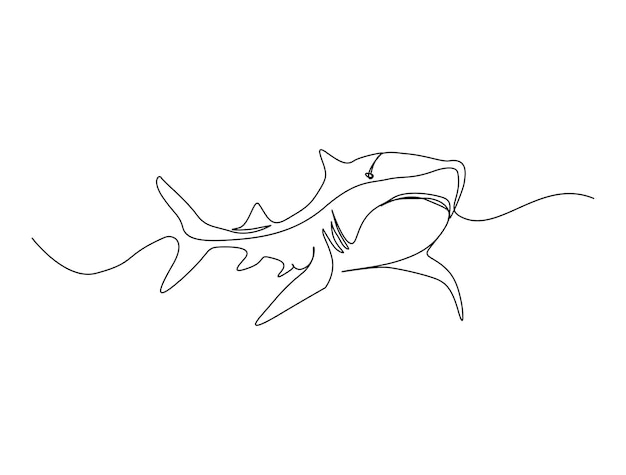 Vector continuous one line drawing of shark fish. simple illustration of saltwater fish line art vector