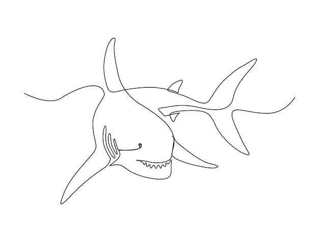 Continuous one line drawing of shark fish. Simple illustration of saltwater fish line art vector