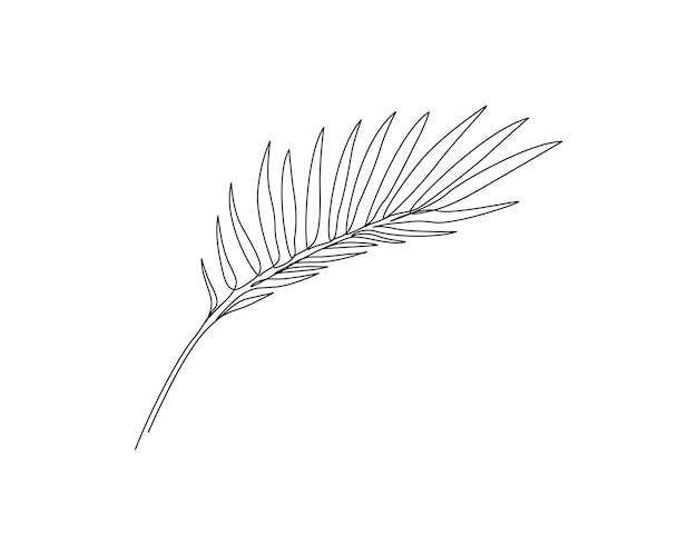 Continuous one line drawing of single palm leaf