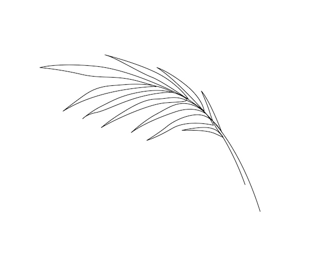 Continuous one line drawing of single palm leaf