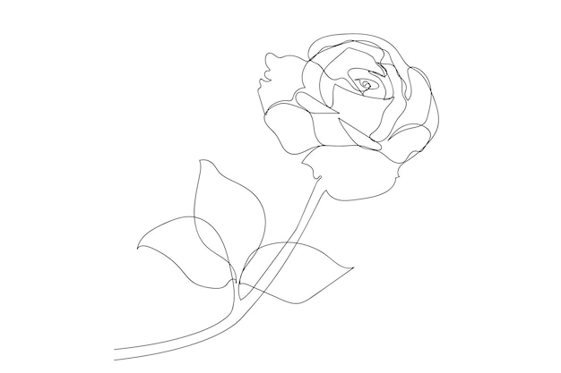 Continuous one line drawing vector illustration of rose flower minimalist design minimalism concept