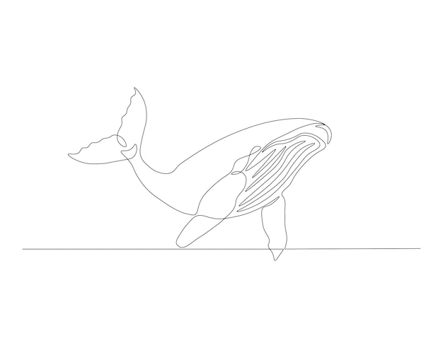 Continuous one line drawing wild blue whale fish One line drawing illustration of blue whale fish Marine animal concept continuous line art Editable outline