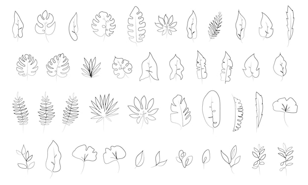 Continuous one line floral art collection