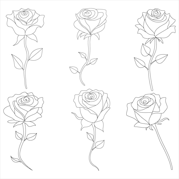 Continuous one line rose outline vector art drawing