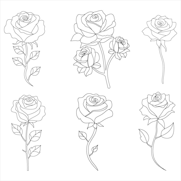 Continuous one line rose outline vector art drawing