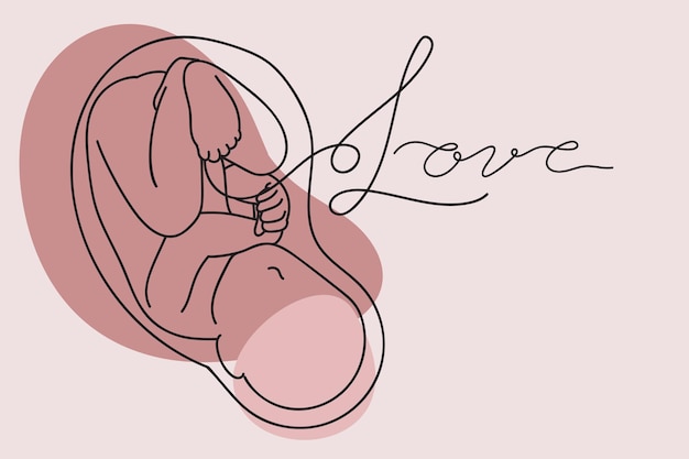 Vector continuous one simple single abstract line art drawing of a baby in mother womb of pregnant woman