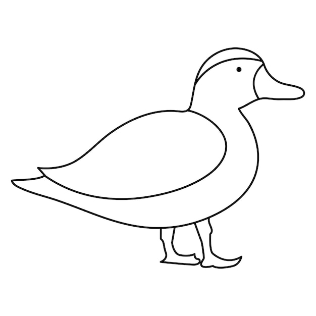 continuous single line drawing of duck water bird vector art illustration