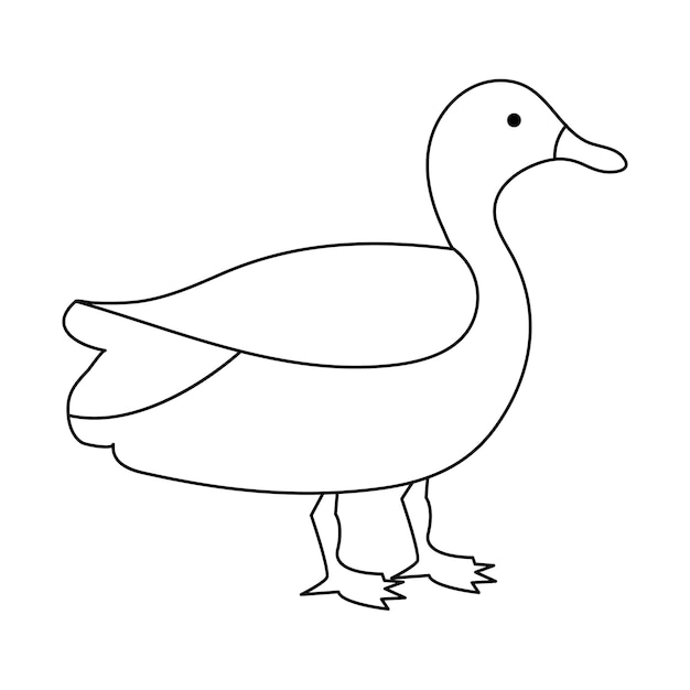 continuous single line drawing of duck water bird vector art illustration