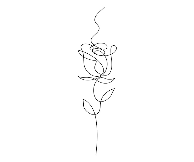 Vector continuous single line of rose flower drawing outline vector art illustration