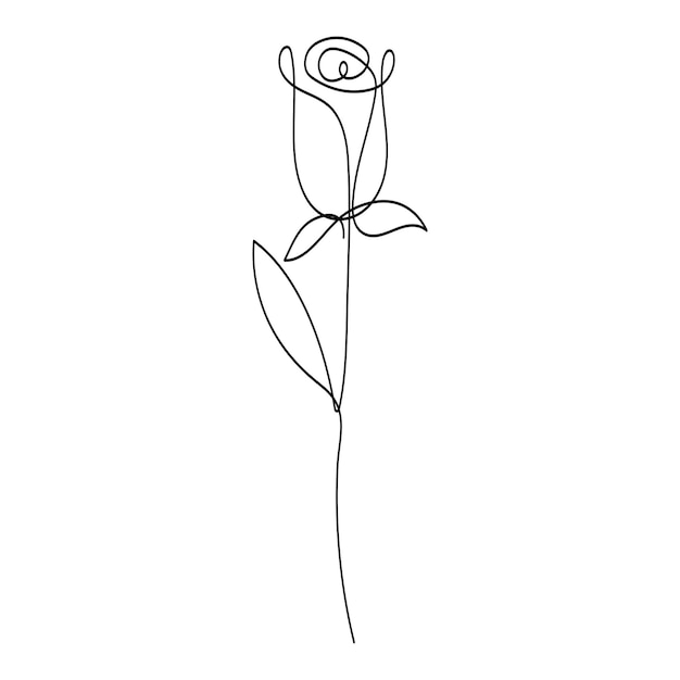 Vector continuous single line of rose flower drawing outline vector art illustration